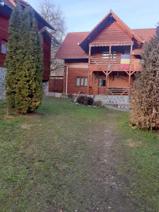 Pensiunea Codru Sălciua de Jos 외부 사진