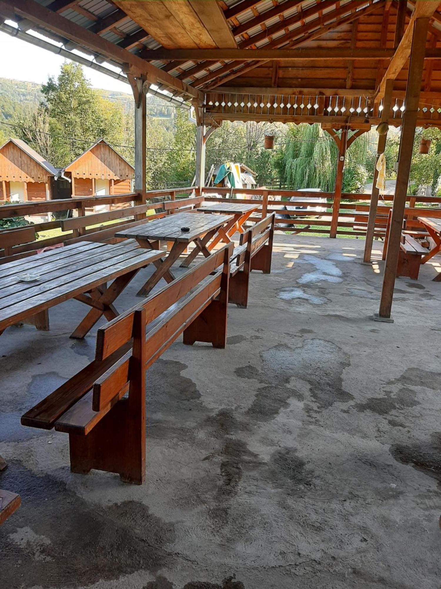Pensiunea Codru Sălciua de Jos 외부 사진